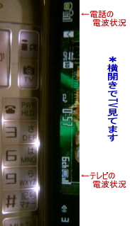 p03.jpg